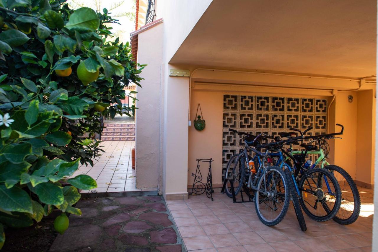 Florit Flats - The Orange Lemon Tree House Villa La Eliana Ngoại thất bức ảnh