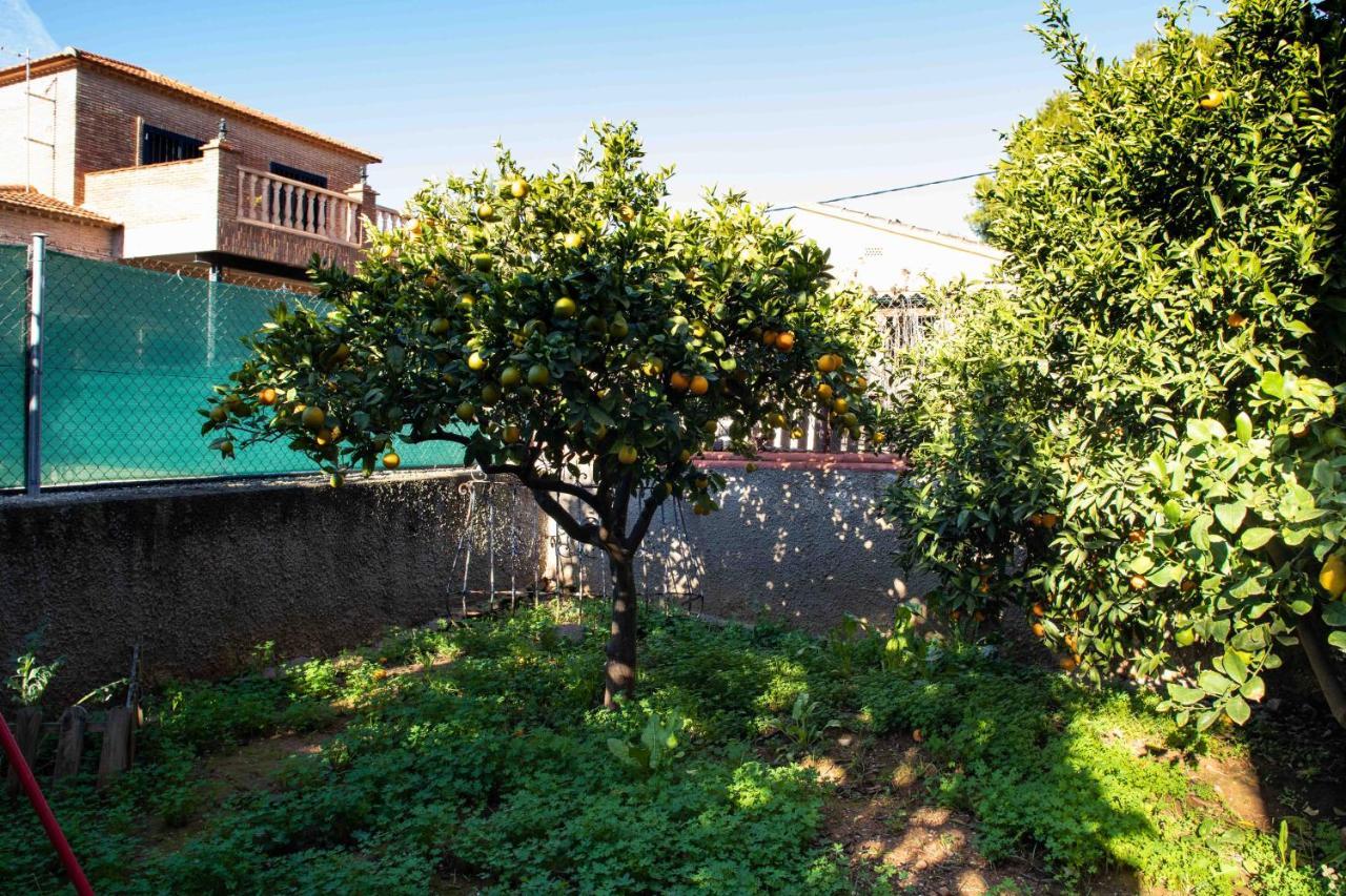 Florit Flats - The Orange Lemon Tree House Villa La Eliana Ngoại thất bức ảnh